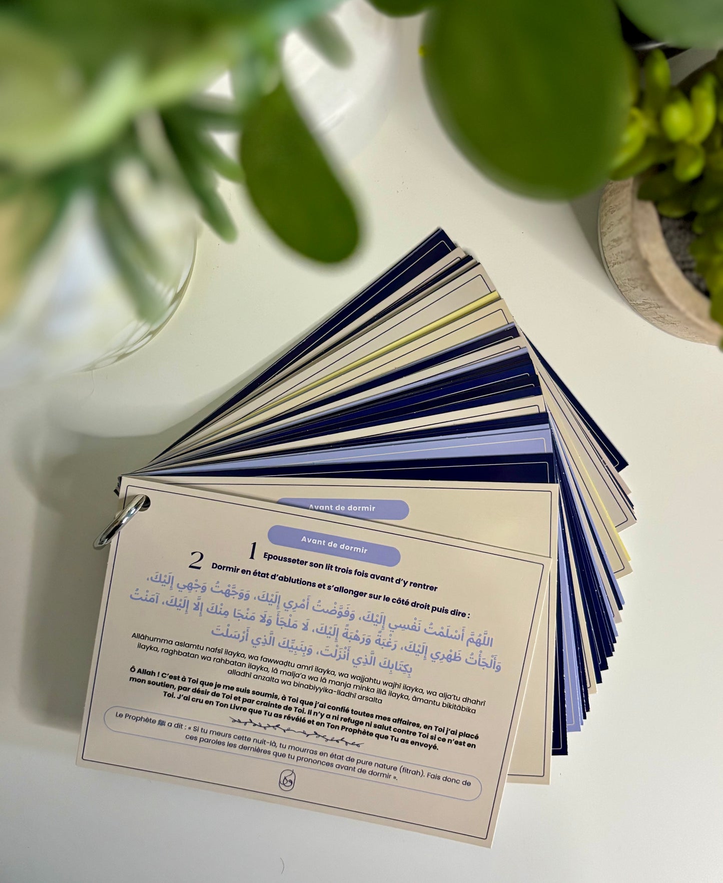 Guide d'invocations quotidien du matin&Soir