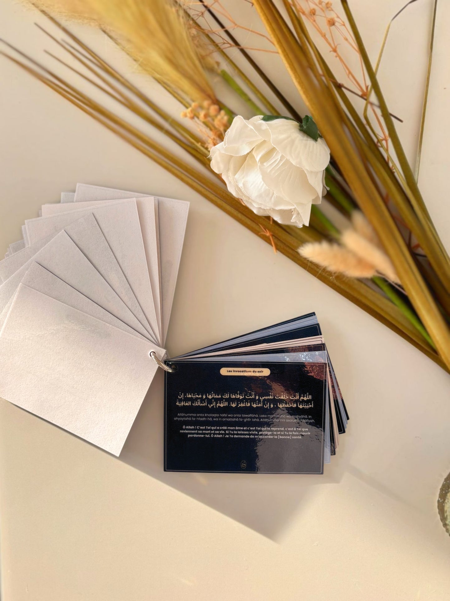 Guide d'invocations quotidien du matin&Soir