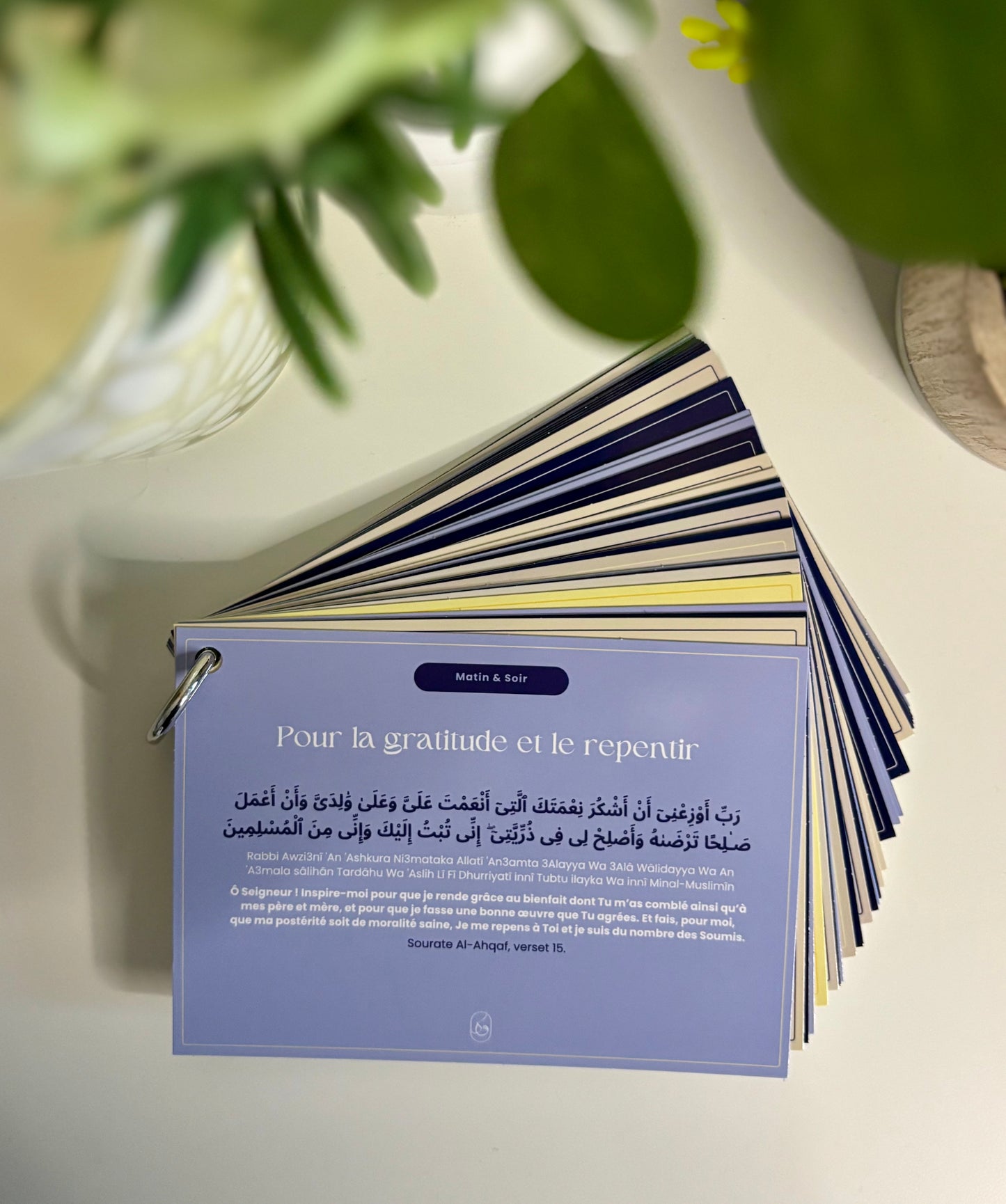 Guide d'invocations quotidien du matin&Soir