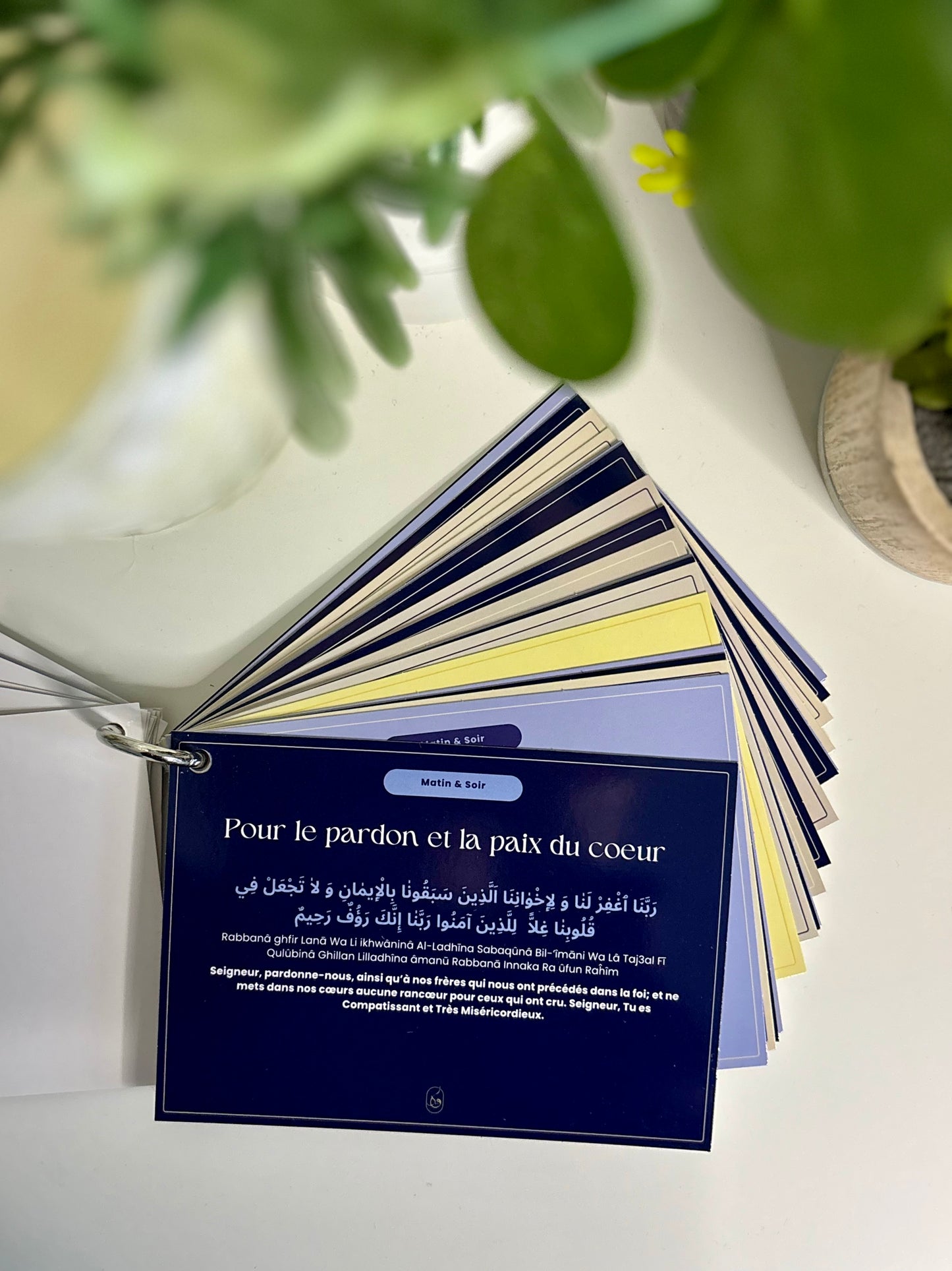 Guide d'invocations quotidien du matin&Soir