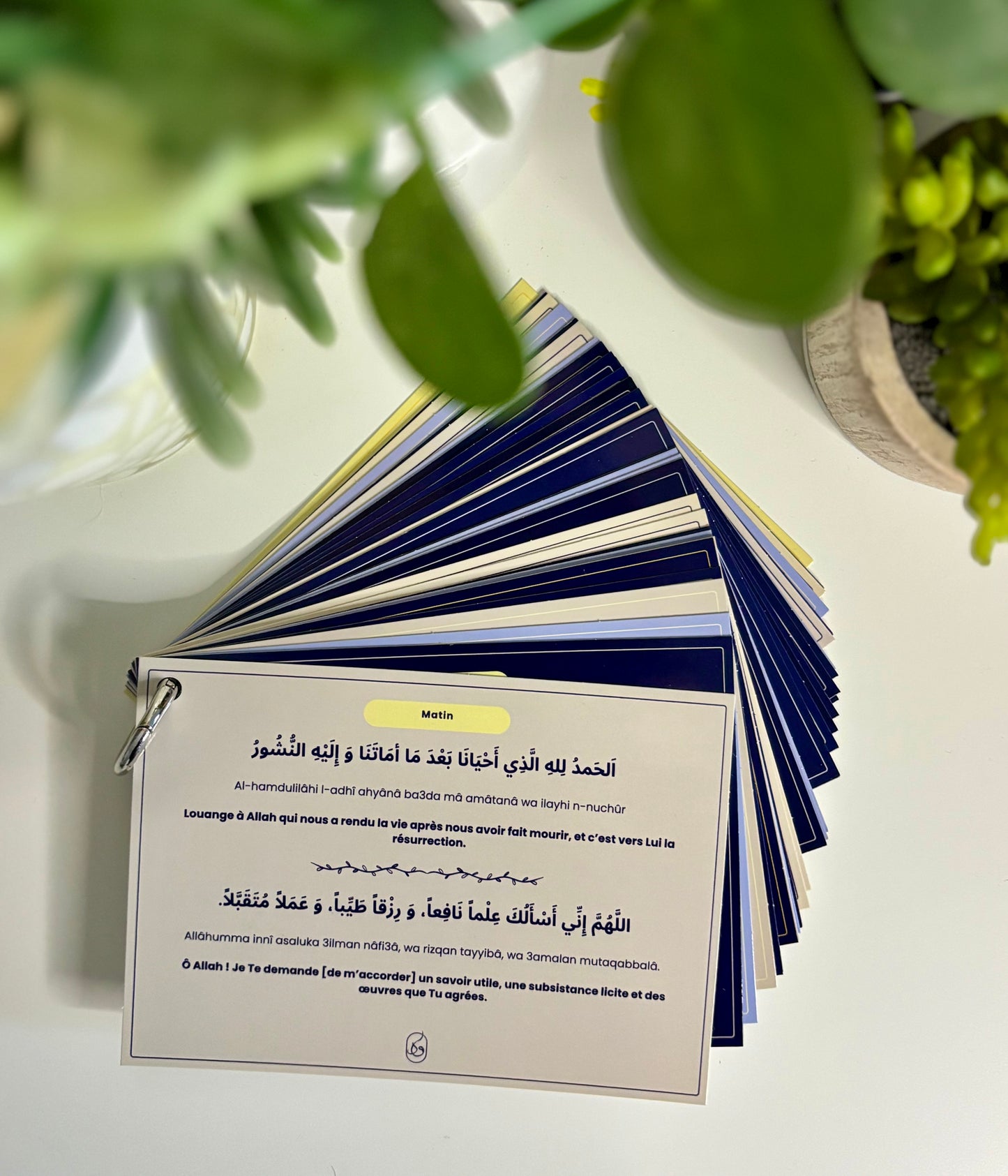 Guide d'invocations quotidien du matin&Soir