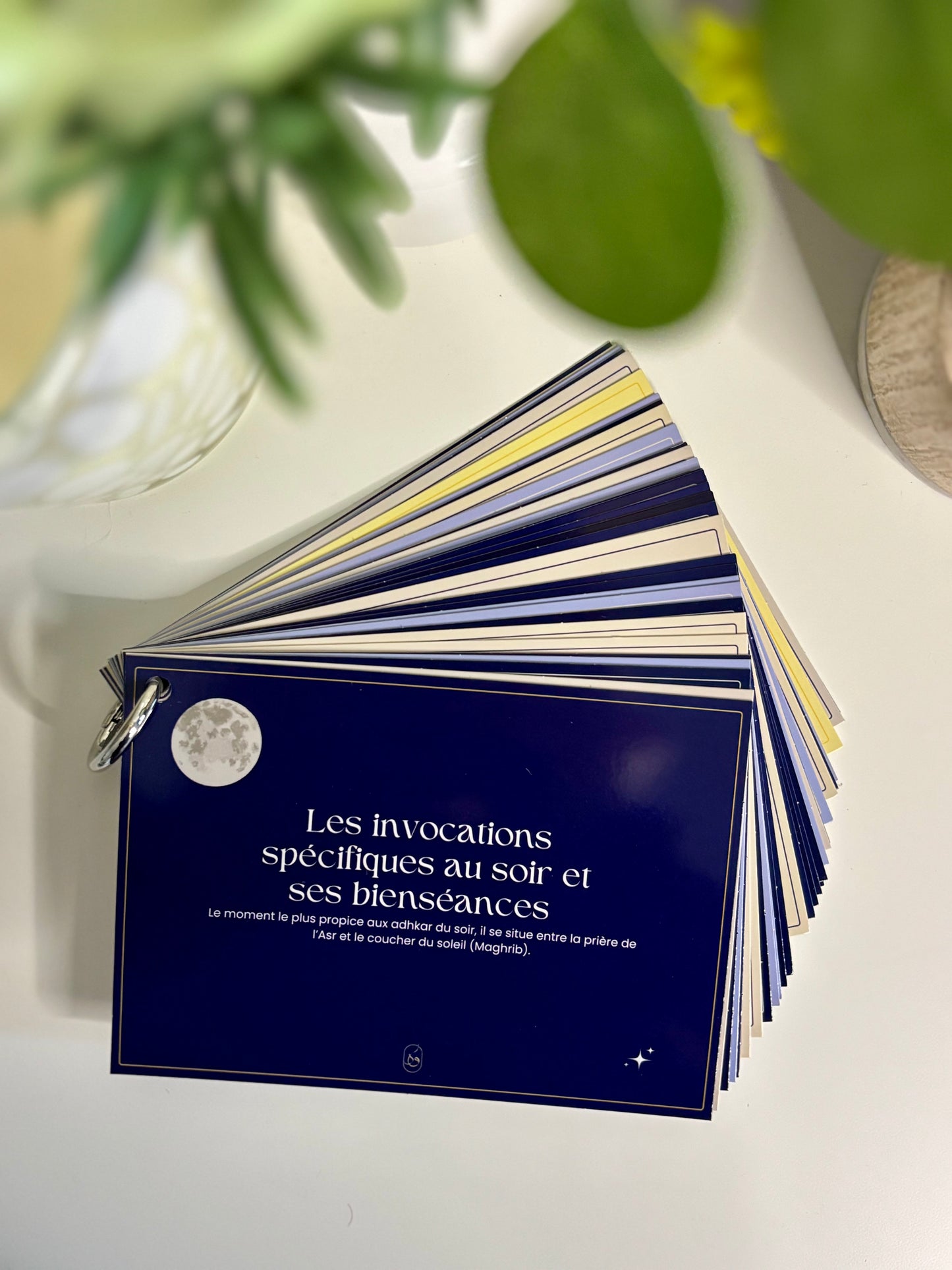 Guide d'invocations quotidien du matin&Soir