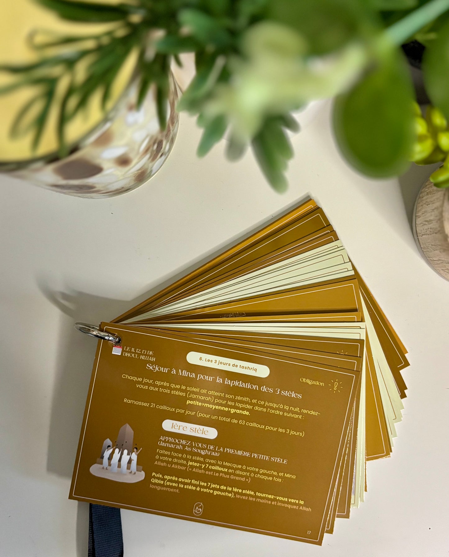 Guide Hajj et tour de cou