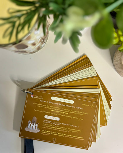 Guide Hajj et tour de cou